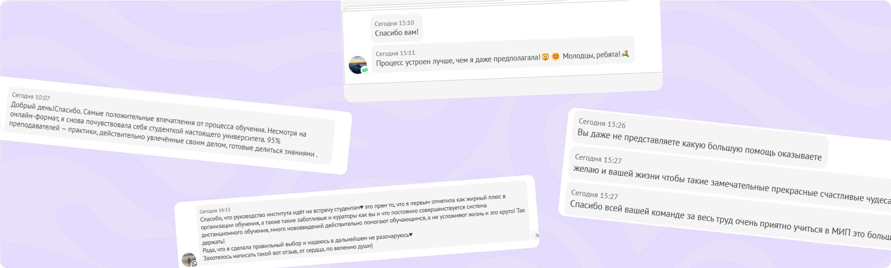 Опытные кураторы